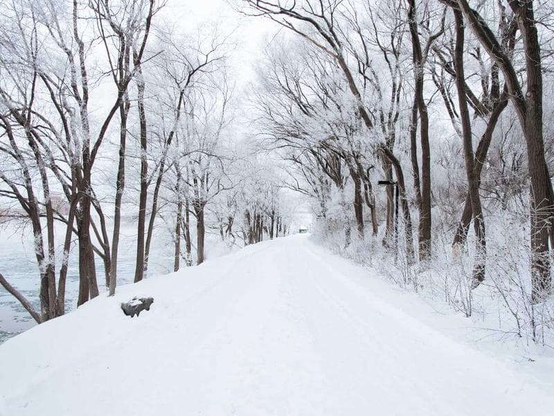 Chipping Hammer with Wire Brush