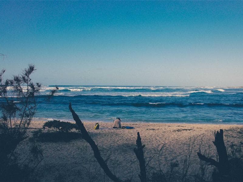 Auto Darkening Welding Helmet